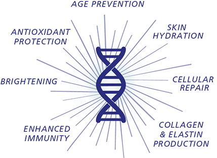 GENEXC SERUM